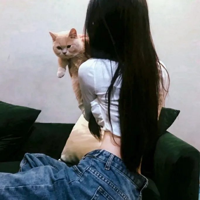 罪物语