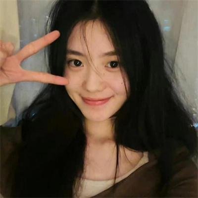 动物总动员